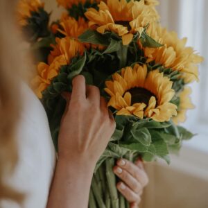 Helianthus annuus-Sunrich Orange