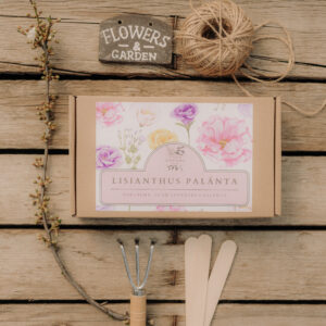 “Therapy of Flowers” lisianthus palánta box