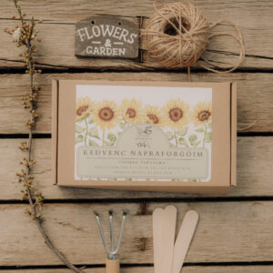 Kedvenc napraforgóim!