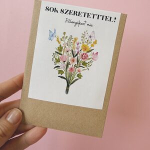 Sok szeretettel virágmag - Pillangókert mix