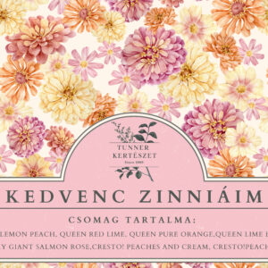 Kedvenc zinniáim!